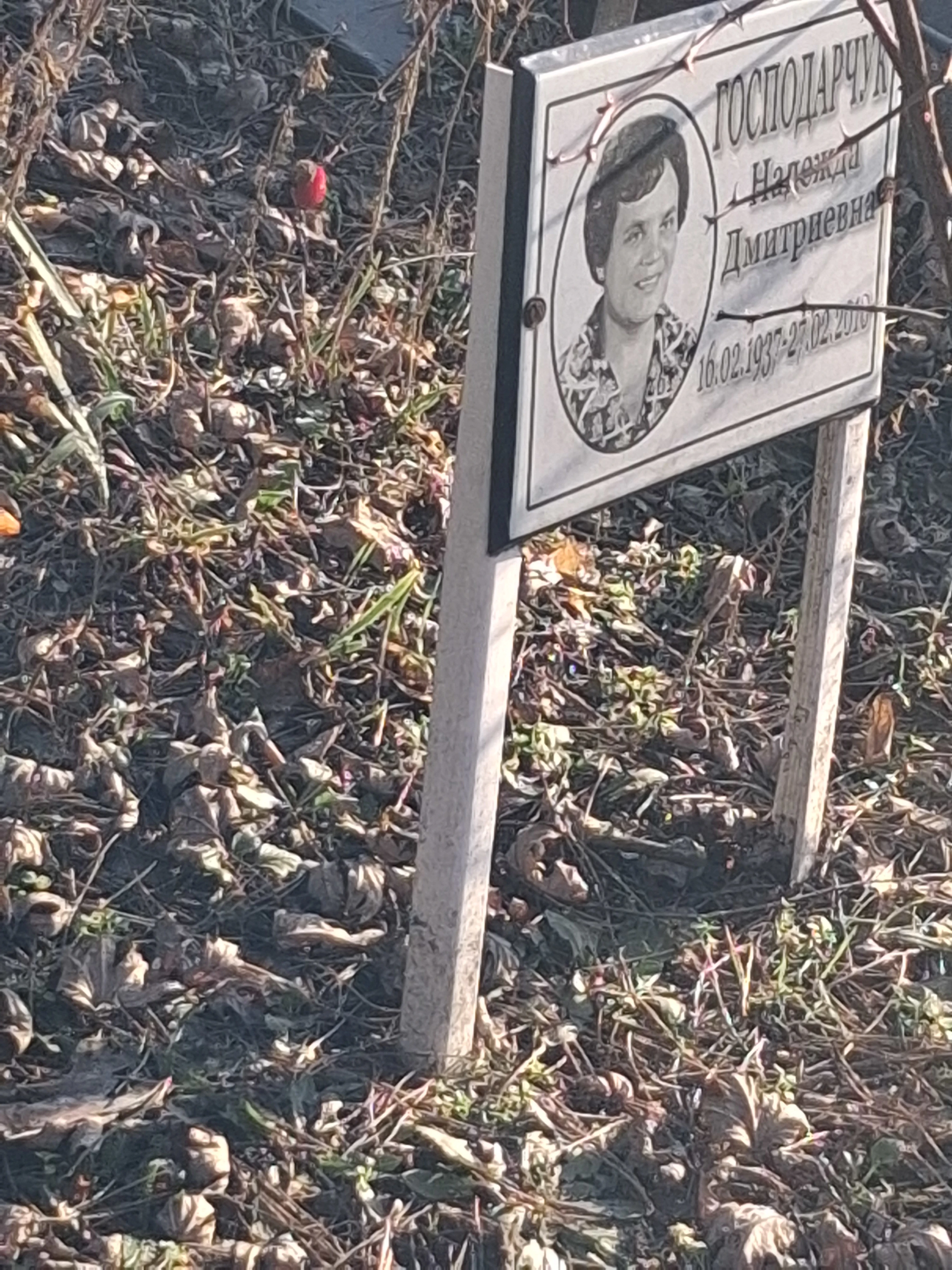 Memorial image