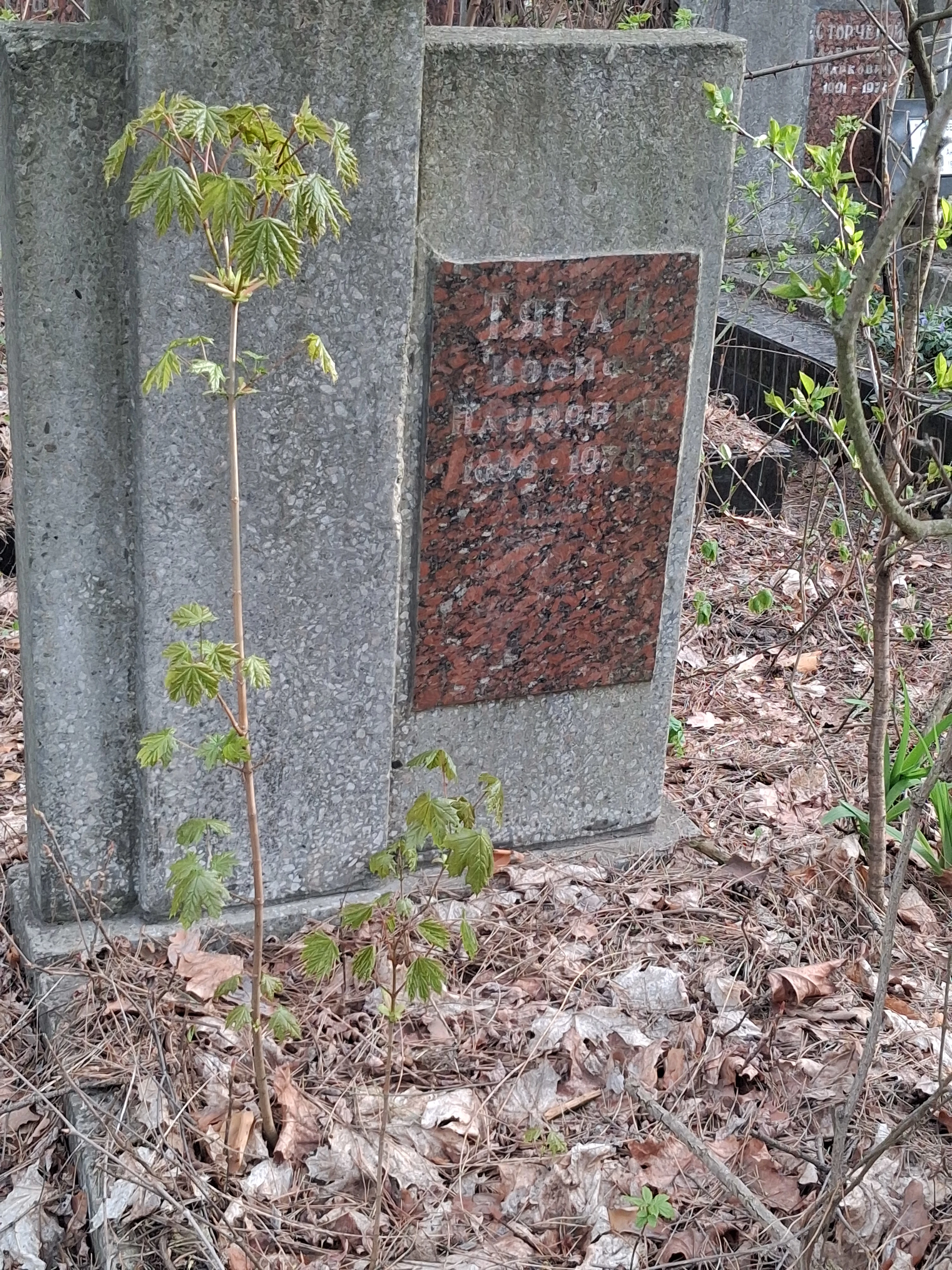 Memorial image