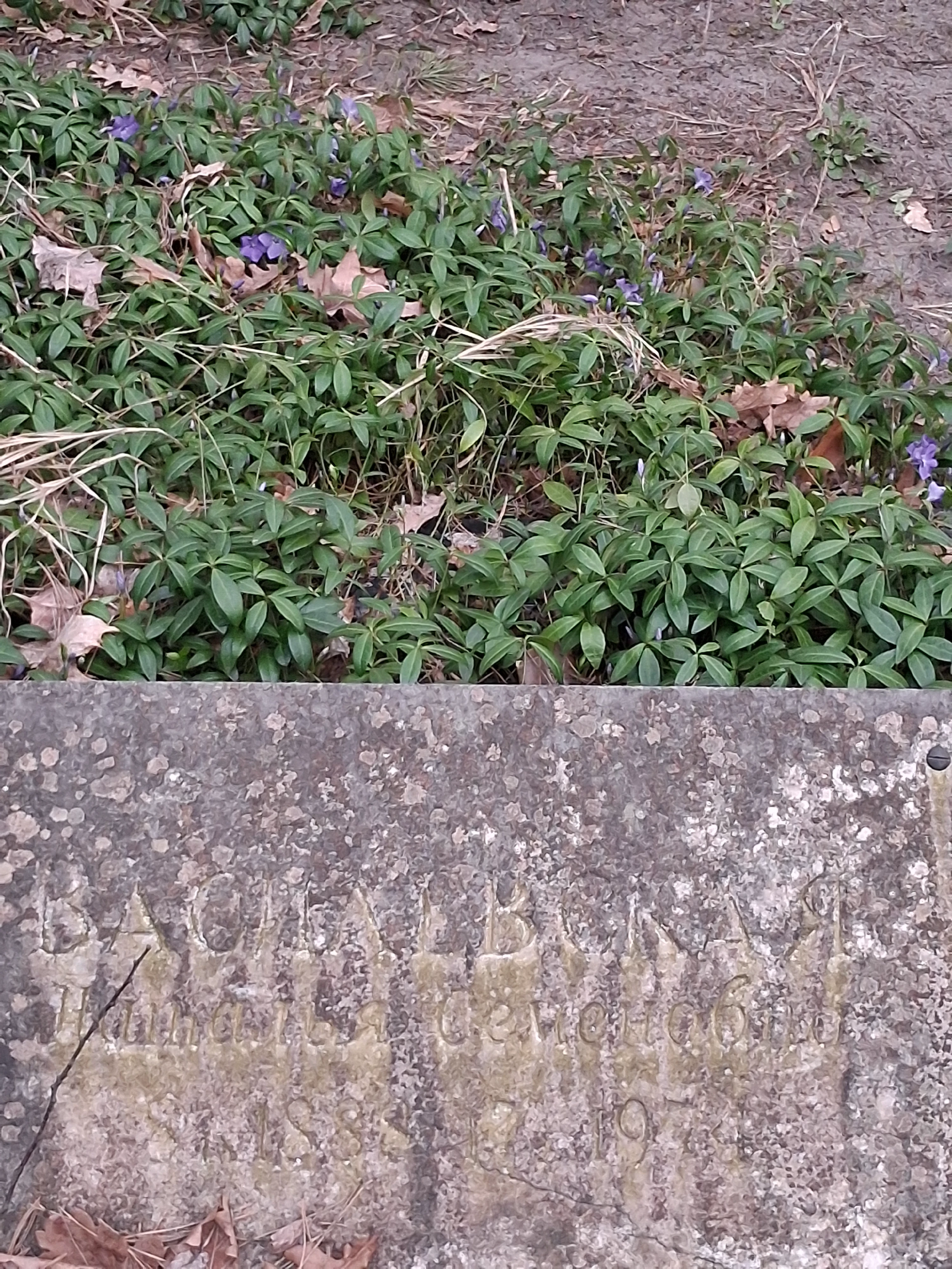 Memorial image