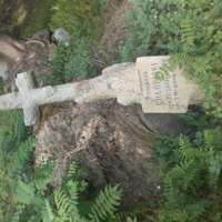 Romanek Chłopicki