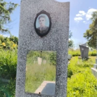 В. Андронік