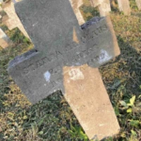 Mikolaus Stamba