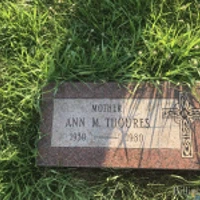 Ann Thoures