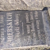 Albina Zarębska