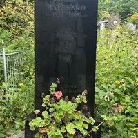 Józef Haluszko
