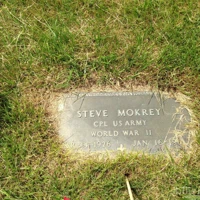 Steve Mokrey