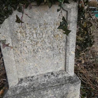 BUJAK JEDRZEJ