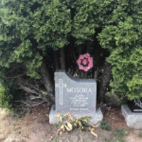 Zofia Mosora