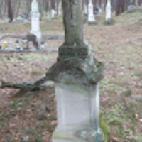 Paraskewia Proć
