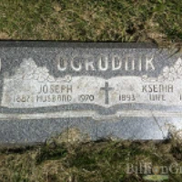Joseph Ogrudnik