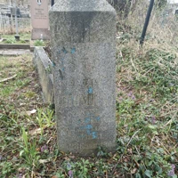 Jozef Chomicki