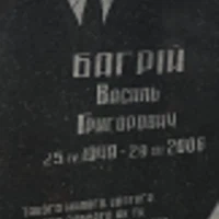 Vasyl Bahriy
