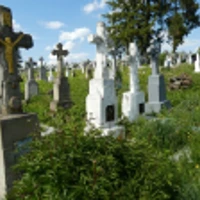 Фавронія Кіт