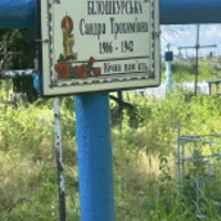 Сандра  Саган