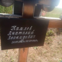 Анатолий Камлев