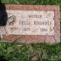 DELIA KOLODIJ