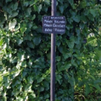 Kálmán Mándi