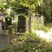 Елена Вировская