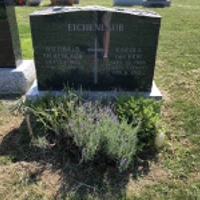 Willibald Eichenlaub