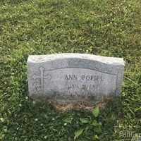 Ann Popiel
