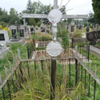 Анна  Дмитрова