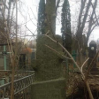 Konstancja Turczewicz