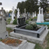 Степанія Пискиливець