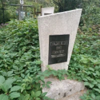 Алла Деревенко