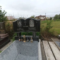 Володимира Артим