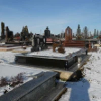 Роман Кузів