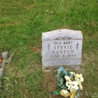 Stevie Hanych