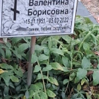Валентина Матусевич