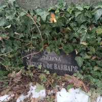 August  de Barbaro