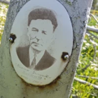 Максим Салій