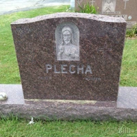 Plecha