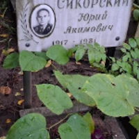 Юрий Сикорский