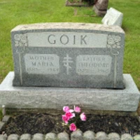 Theodore Goik