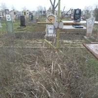 Раїса Іваненко