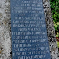 Татяна Мітулінска