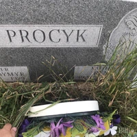 Procyk
