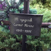 Ferenc Csezur