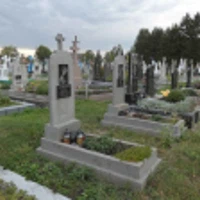 Йосипа Алексевич