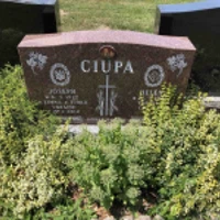 Helen Ciupa
