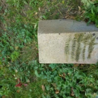 Salomeą Sienkiewicz