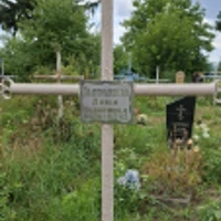 Анна Подгородецкая