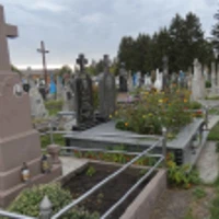Степен Тимчій