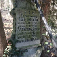 Barbara Gorzala