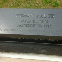 Henry Saluk