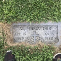 Ali Orr