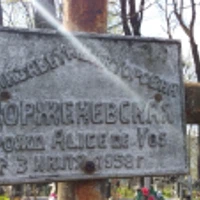 Елизавета Корженевская